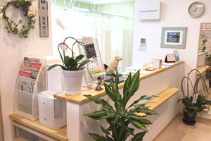 医療保険・健康保険完備